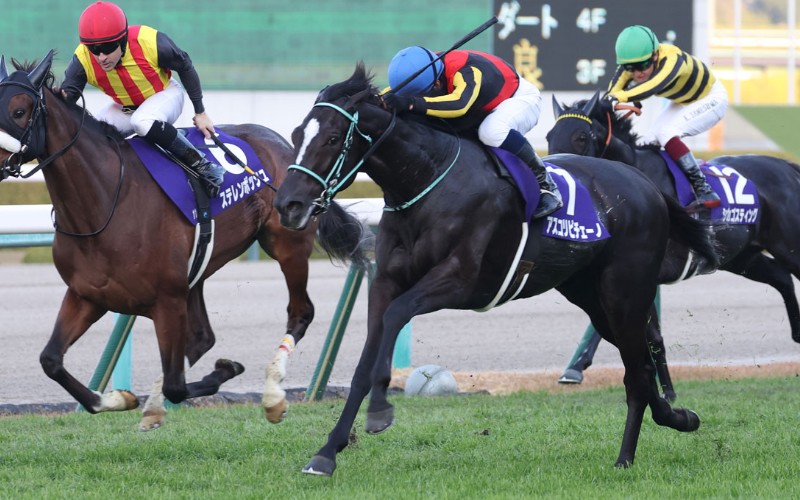 芸能人・有名人・プロ予想阪神ジュベナイルフィリーズ「2023年勝ち馬アスコリピチェーノ」