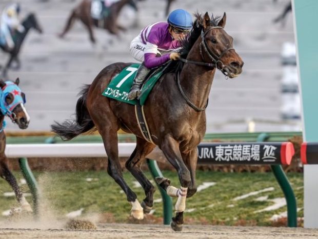 2025根岸ステークス芸能人・有名人予想（2024勝ち馬エンペラーワケア）