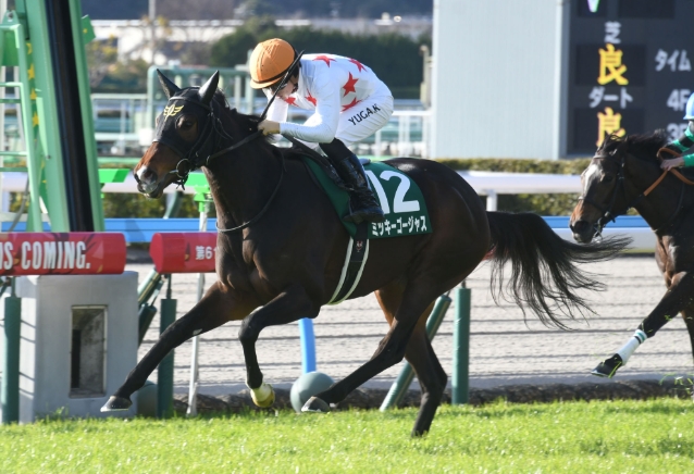 愛知杯2025芸能人・有名人予想【2024勝ち馬ミッキーゴージャス】