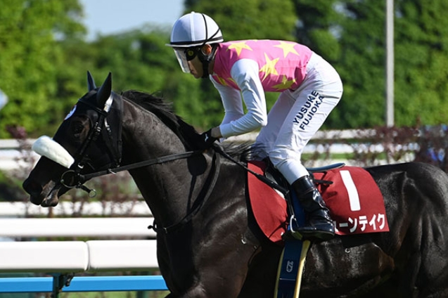 京都新聞杯2025芸能人・有名人予想【2024勝ち馬ジューンテイク】