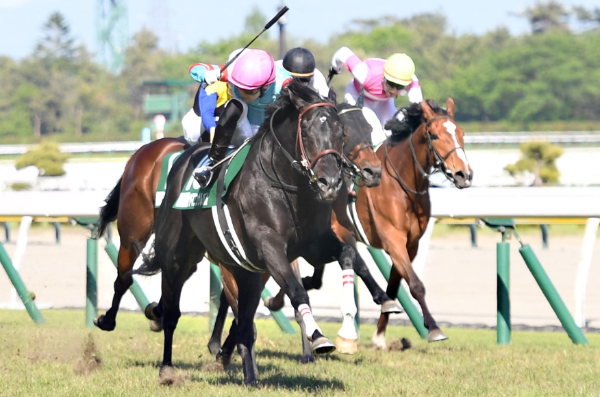 新潟大賞典2025芸能人・有名人予想【2024勝ち馬ヤマニンサルバム】
