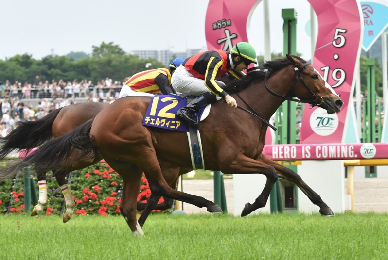 オークス2025芸能人・有名人予想【2024勝ち馬チェルヴィニア】