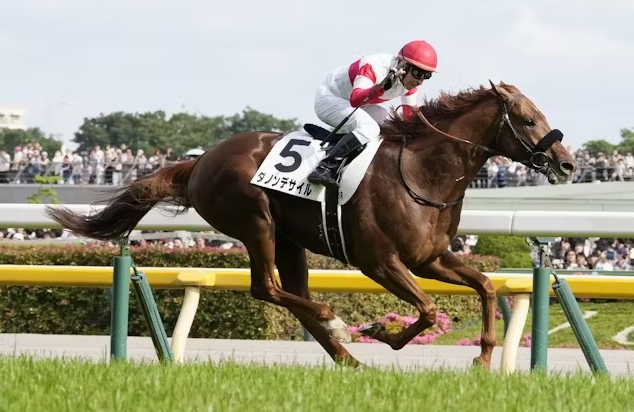 日本ダービー2025芸能人・有名人予想【2024勝ち馬ダノンデサイル】