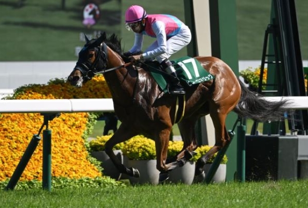 葵ステークス2025芸能人・有名人予想【2024勝ち馬ピューロマジック】
