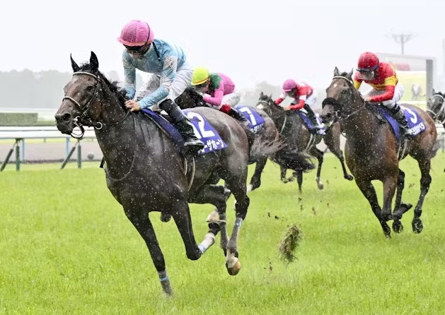 宝塚記念2025芸能人・有名人予想【2024勝ち馬ブローザホーン】
