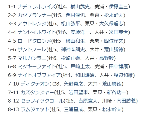 帝王賞出走表(netkeiba)
