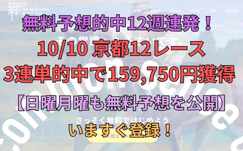 アイルランドトロフィー（シンケイバ）